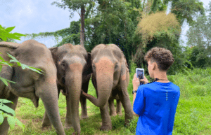 thiland-elephants-and-community-building-for-teenagers5