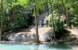 thiland-elephants-and-community-building-for-teenagers6