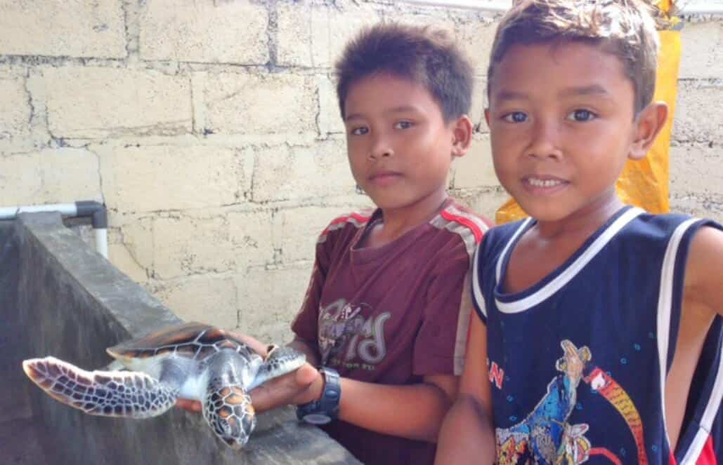 Bali - Family-Friendly Sea Turtle Rescue