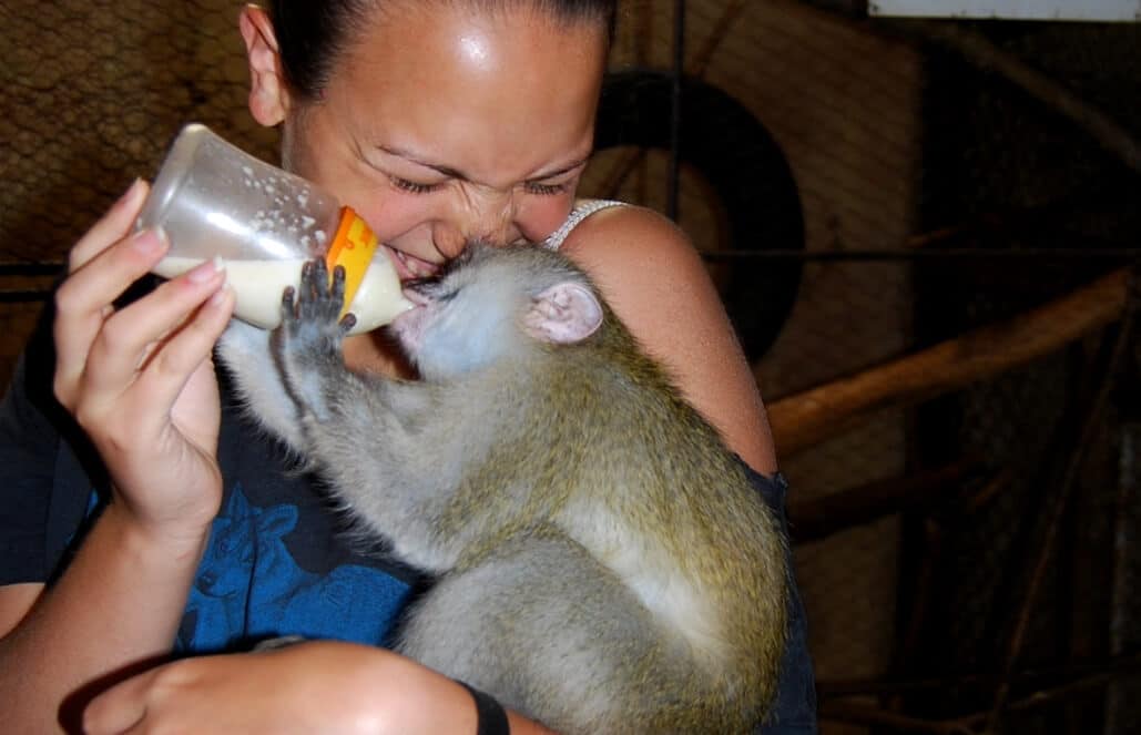 Zimbabwe - African Wildlife Orphanage