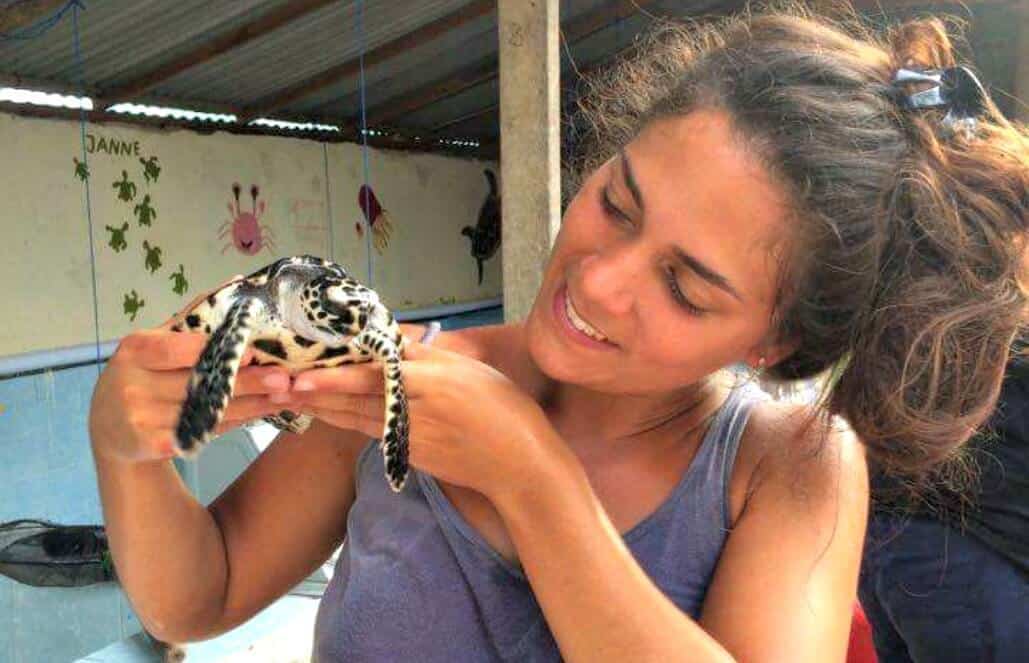 Bali - Sea Turtle Rescue