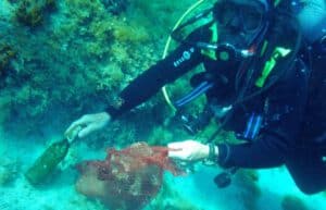 Croatia - Marine Conservation in Split 08