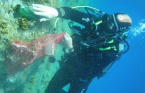 Croatia - Marine Conservation in Split 10