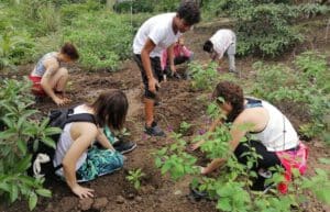 Ecuador - Sea Turtle Conservation and Environmental Outreach 17