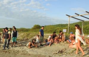 Ecuador - Sea Turtle Conservation and Environmental Outreach 19