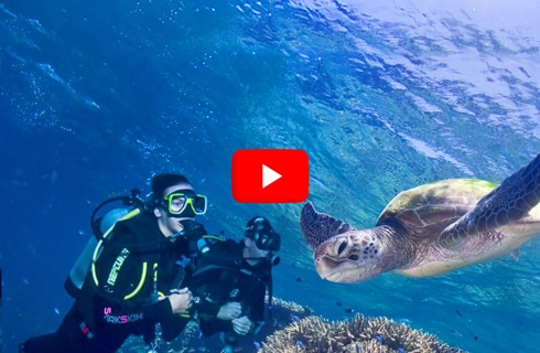 Australia---Great-Barrier-Reef-Conservation---main---Video