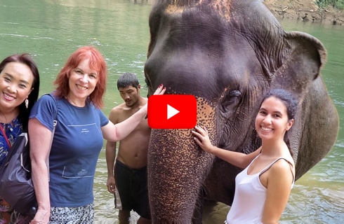 Thailand---Elephant-Forest-Refuge---main---Video
