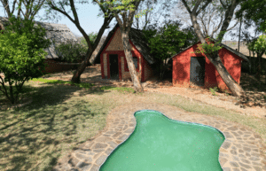 zimbabwe-african-wildlife-orphanage-2023-4