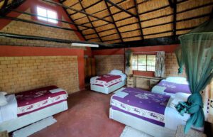 zimbabwe-african-wildlife-orphanage-accommodation-new3