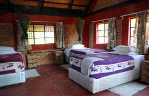 zimbabwe-african-wildlife-orphanage-accommodation-new4