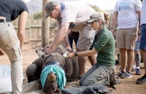 Rhino Orphan Sanctuary08