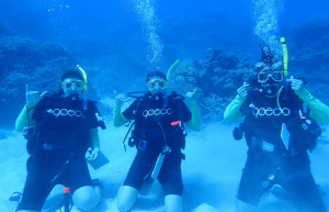 australia-great-barrier-reef-conservation-1