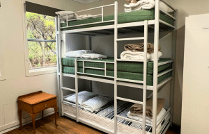 australia–wildlife-animal-sanctuary-acc-1
