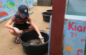 bali-family-friendly-sea-turtle-rescue_upd_3