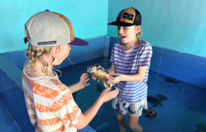 bali-family-friendly-sea-turtle-rescue_upd_8