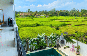 bali-ubud-acc-2025-4