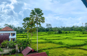 bali-ubud-acc-2025-6