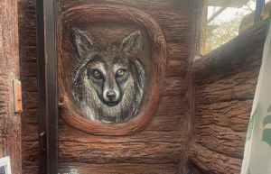 cost-rica-sloth-wildlife-rescue-center-6