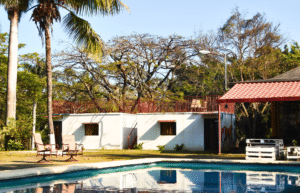 costa-rica-ff-sloth-and wildlife-rescue-center-23