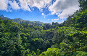 costa-rica-ff-sloth-and wildlife-rescue-center