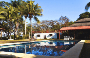 costa-rica-ff-sloth-and wildlife-rescue-center-31