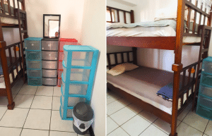 costa-rica–family-friendly-animal-rescue-and-conservation-7