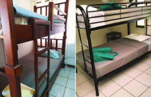 costa-rica–family-friendly-animal-rescue-and-conservation-8