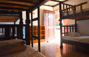 costa-rica–family-friendly-animal-rescue-and-conservation-9