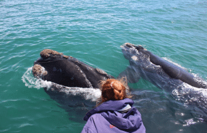 marine-big-5-conservation-upd-14