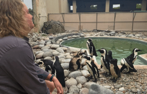 marine-big-5-conservation-upd-21