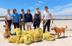 marine-big-5-conservation-upd-7