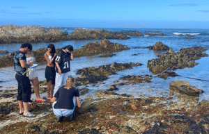 marine-big-5-conservation-upd-8
