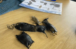 marine-big-5-conservation-upd-9