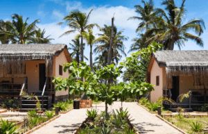 mozambique-whale-shark-and-marine-conservation-6