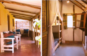 mozambique-whale-shark-and-marine-conservation-7