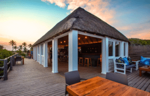 mozambique-whale-shark-and-marine-conservation-8