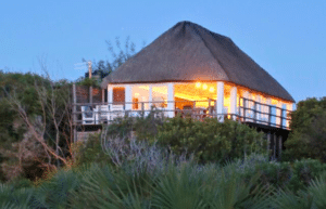 mozambique-whale-shark-and-marine-conservation-9