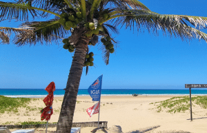 mozambique-whale-shark-and-marine-conservation-add-3