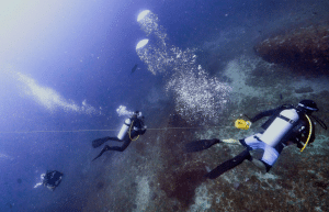 mozambique-whale-shark-and-marine-conservation-add-4