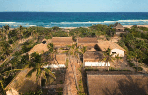 mozambique-whale-shark-and-marine-conservation-add-6