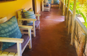 mozambique-whale-shark-and-marine-conservation_4