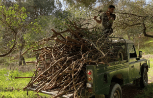 portugal- wolf-conservation-lisbon-experience-upd-4