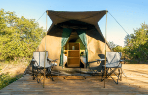 south-africa-big-5-wildlife-reserve-greater-kruger-area-acc-1