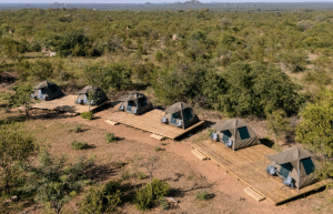 south-africa-big-5-wildlife-reserve-greater-kruger-area-acc-11