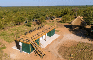 south-africa-big-5-wildlife-reserve-greater-kruger-area-acc-13