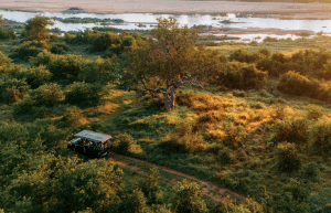 south-africa-big-5-wildlife-reserve-greater-kruger-area-acc-4