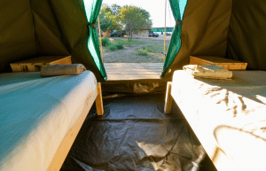 south-africa-big-5-wildlife-reserve-greater-kruger-area-acc-7