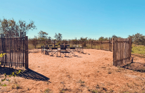 south-africa-big-5-wildlife-reserve-greater-kruger-area-acc-9