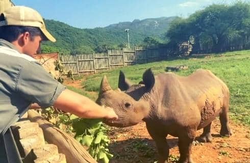 Rhino Rescue Centre - The Rhino Orphanage