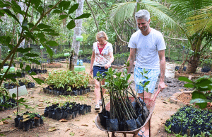 sri-lanka-sea-turtle-rescue-and-rehabilitation-eco-3